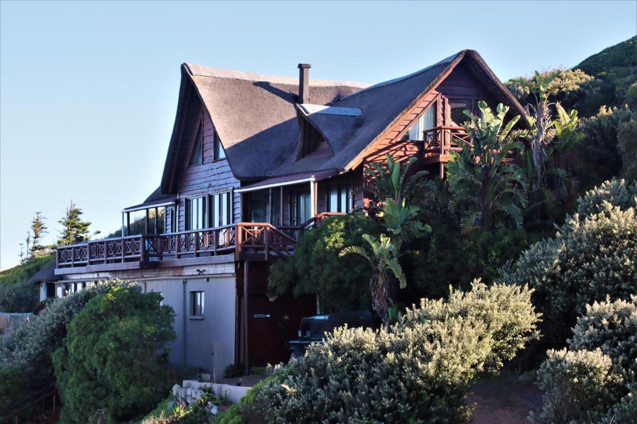 Oyster Bay Beach Lodge מראה חיצוני תמונה